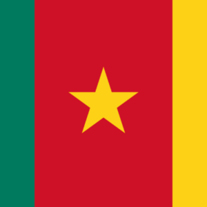 Cameroon b2c email list